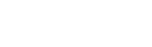 ACM/ICPC